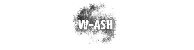 logo WASH
